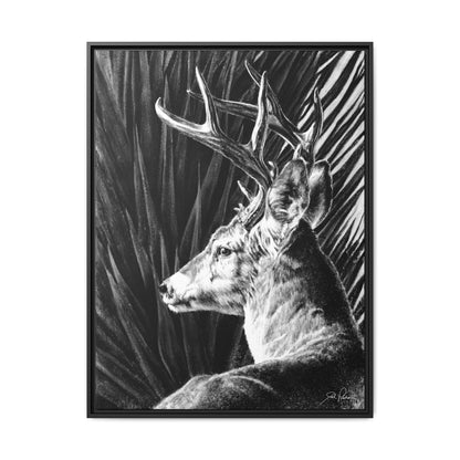 "Coues Buck" Framed Canvas