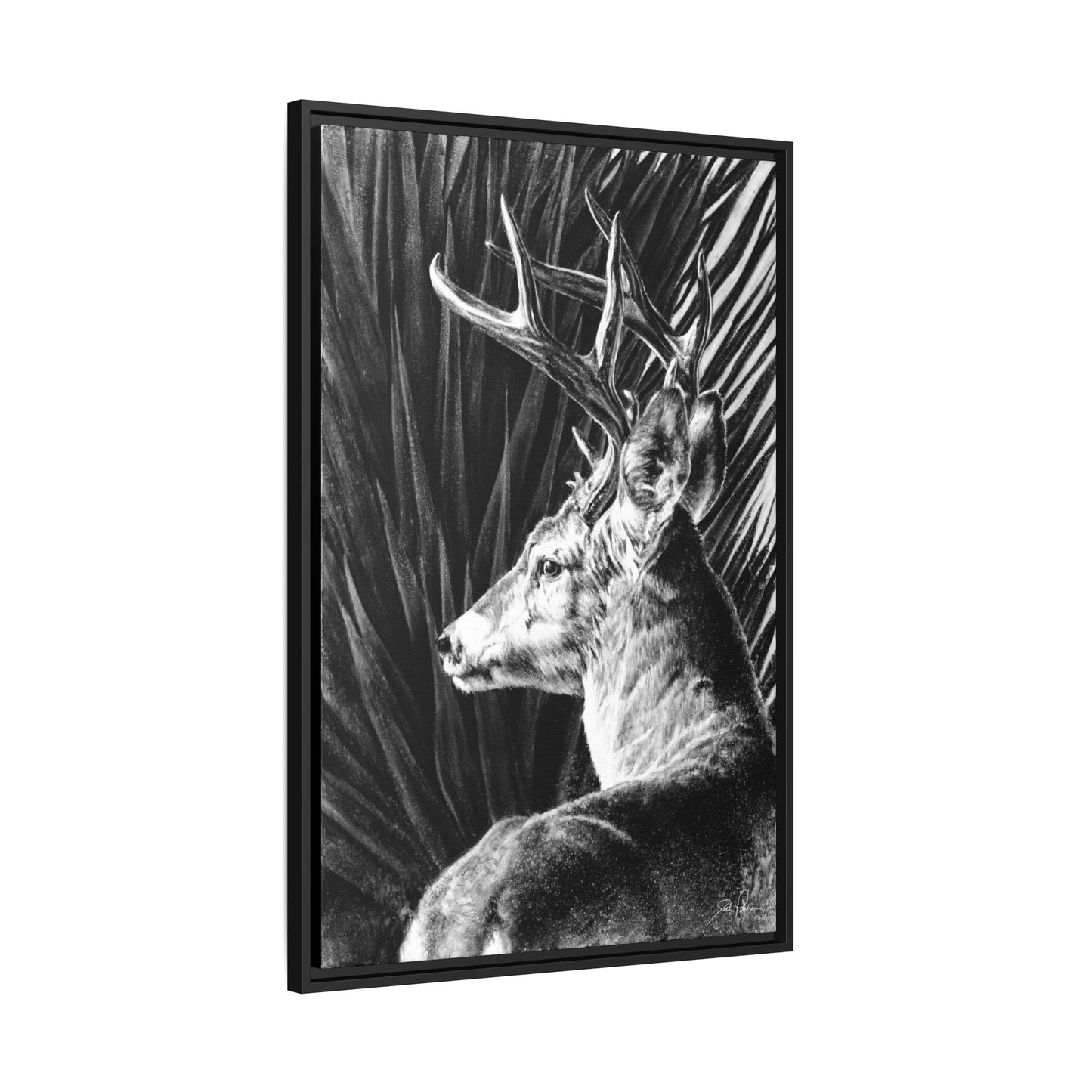 "Coues Buck" Framed Canvas