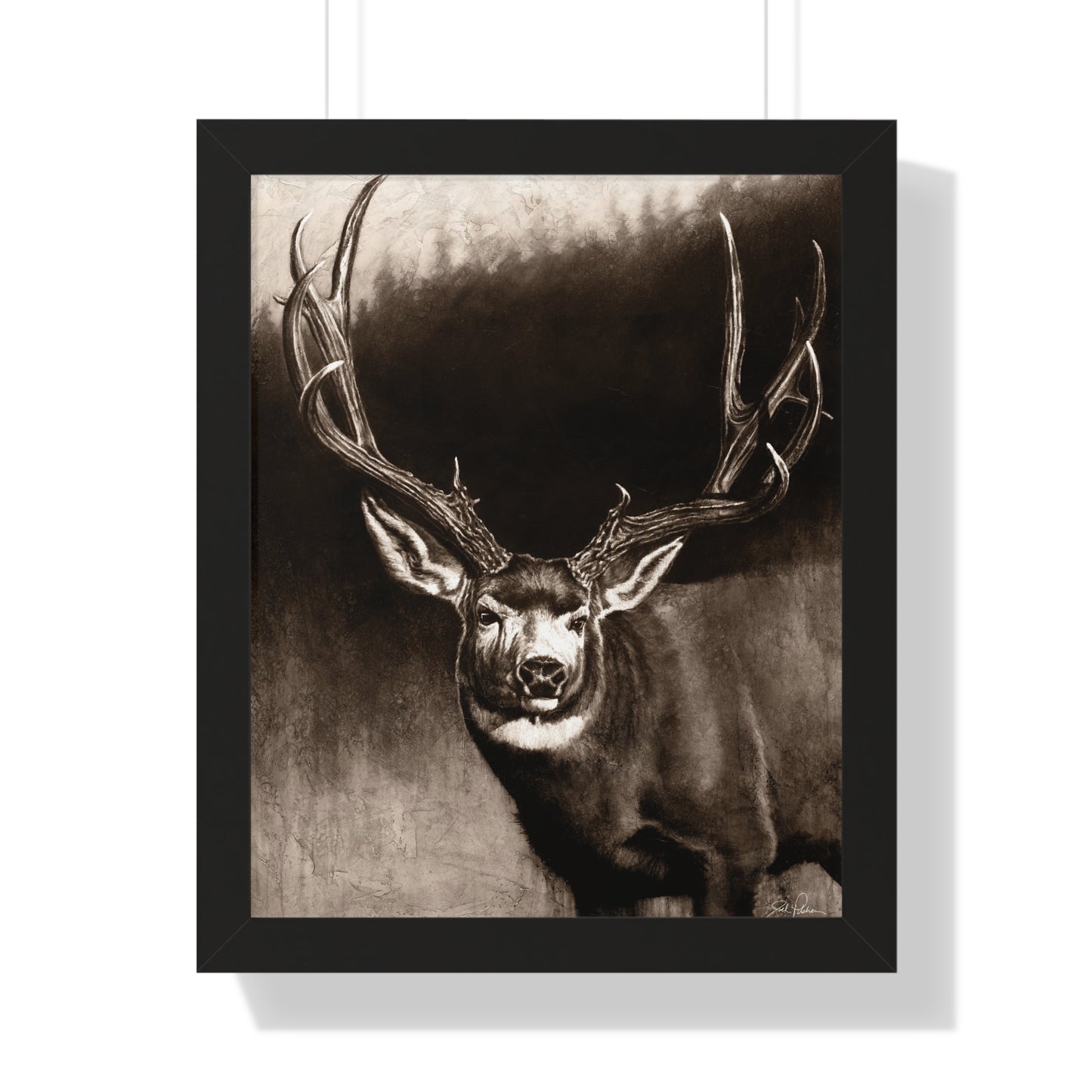 "Muley" Framed Paper Print