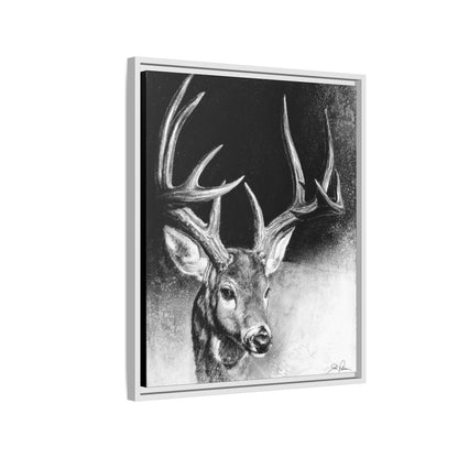 "Whitetail Buck" Framed Canvas