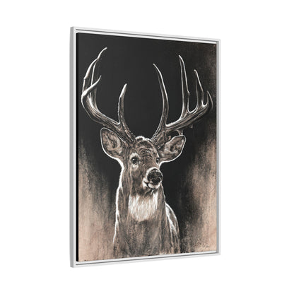 "Backlit Buck" Framed Canvas