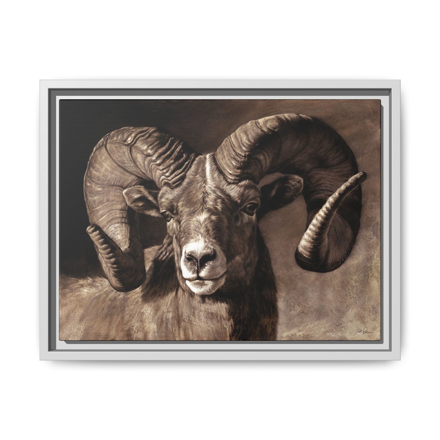 "Full Curl" Framed Canvas