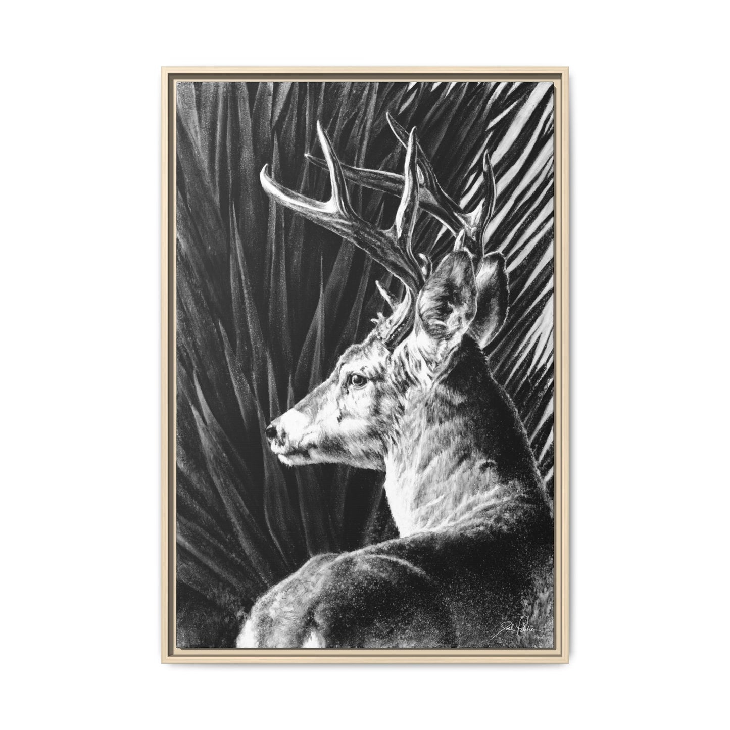 "Coues Buck" Framed Canvas