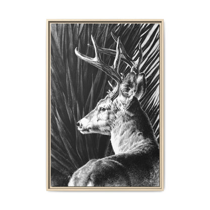 "Coues Buck" Framed Canvas