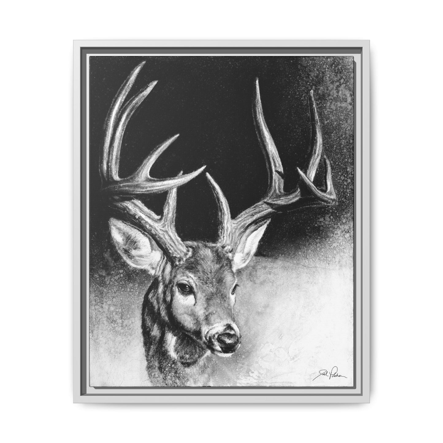 "Whitetail Buck" Framed Canvas