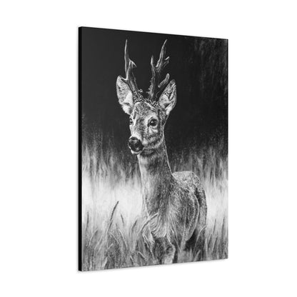 "Roe Deer" Gallery Wrapped Canvas