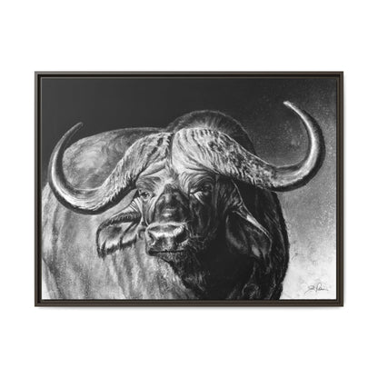 "Cape Buffalo" Framed Canvas