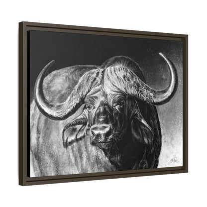 "Cape Buffalo" Framed Canvas