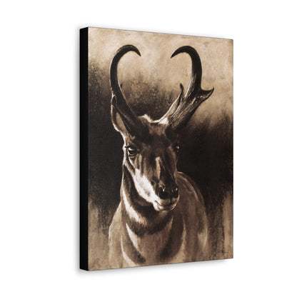 "Pronghorn" Gallery Wrapped Canvas.