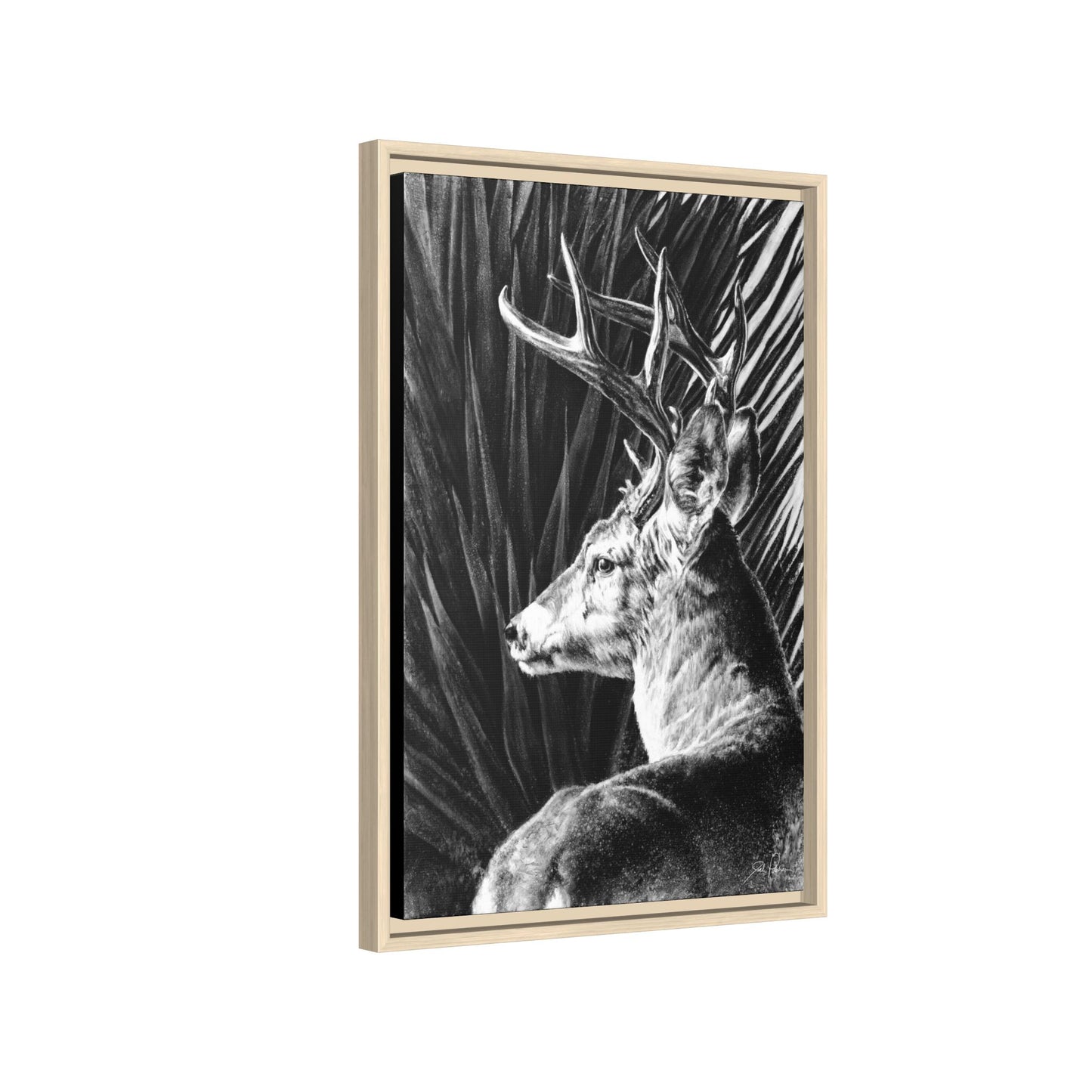 "Coues Buck" Framed Canvas