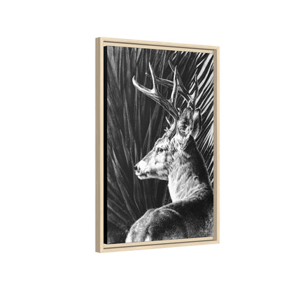 "Coues Buck" Framed Canvas