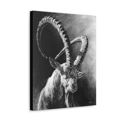 "Ibex" Gallery Wrapped Canvas