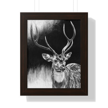 "Axis Buck" Framed Paper Print