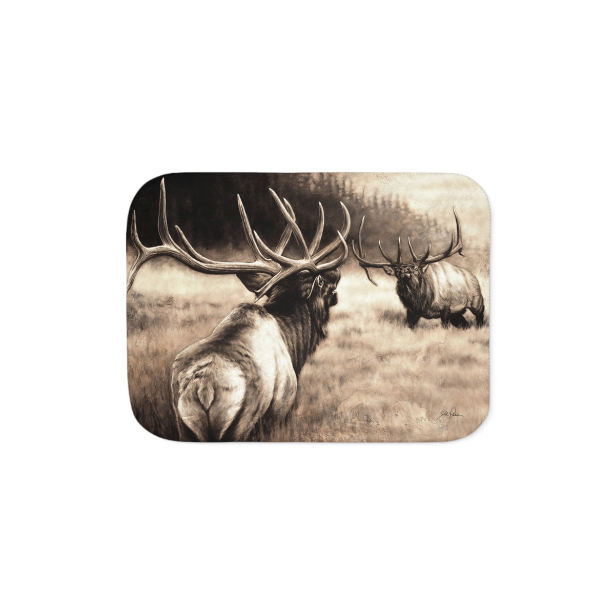 "Ready to Rumble" Sherpa Blanket.