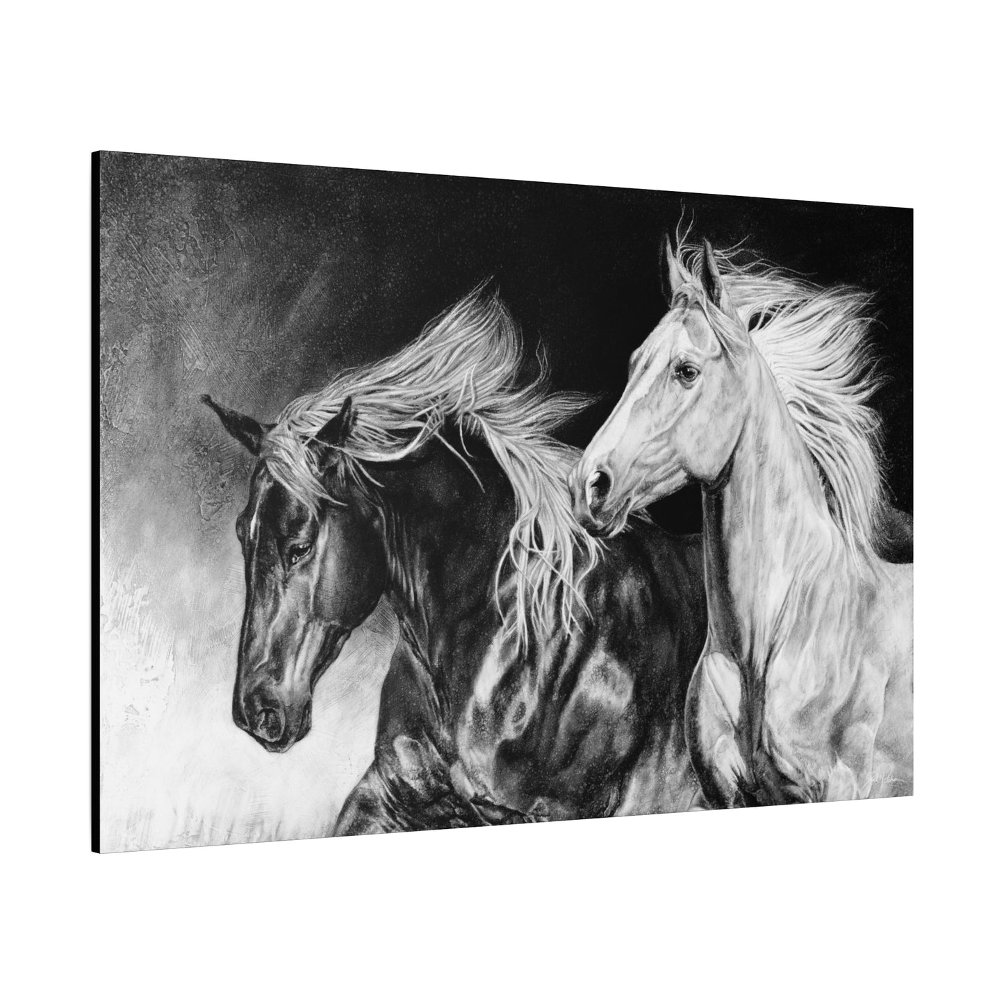 "Dynamic Duo" Stretched Canvas
