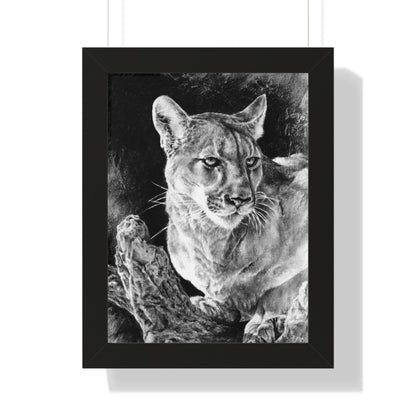 "Mountain Lion" Framed Paper Print