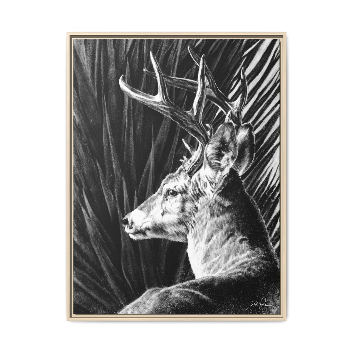"Coues Buck" Framed Canvas