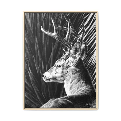 "Coues Buck" Framed Canvas