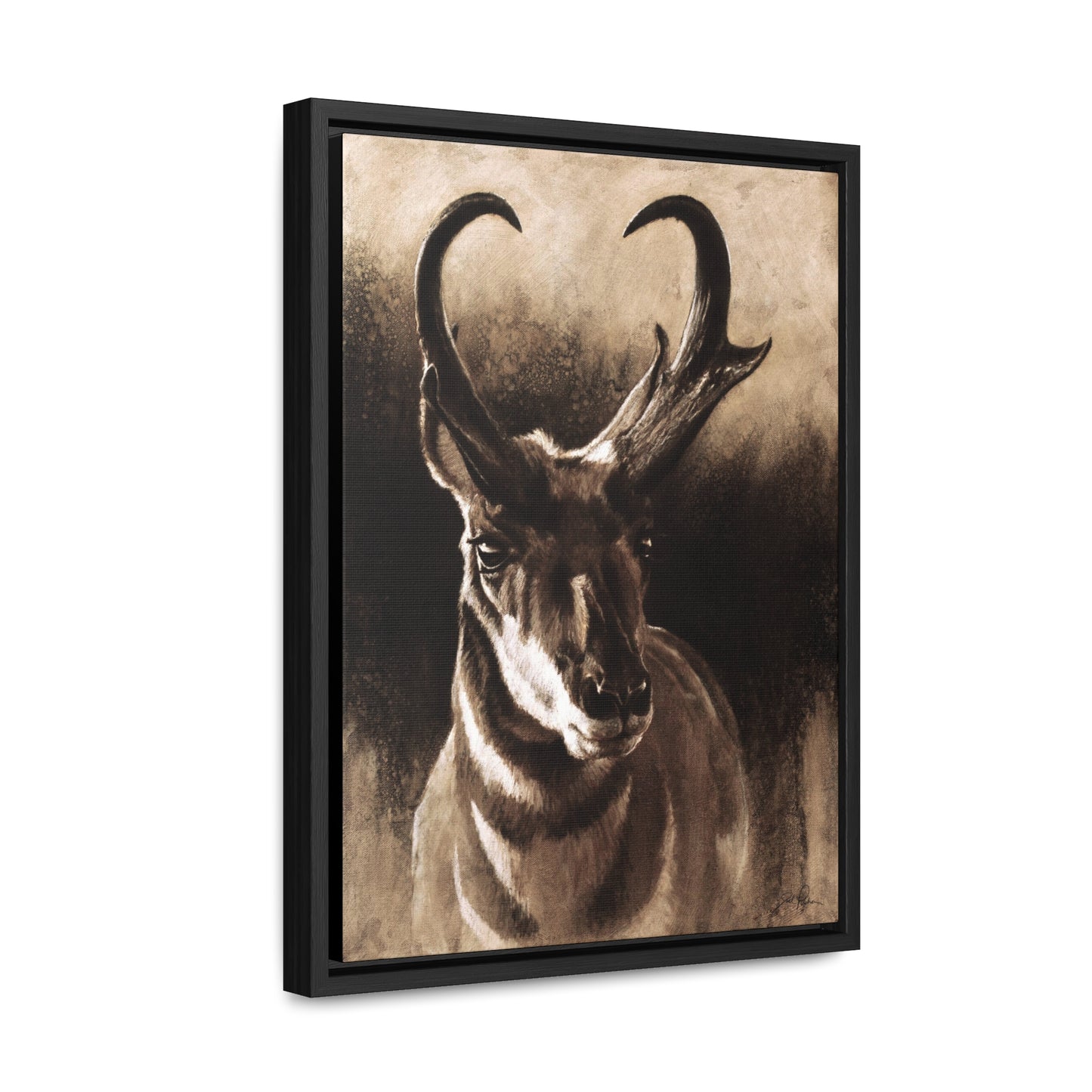 "Pronghorn" Gallery Wrapped/Framed Canvas.