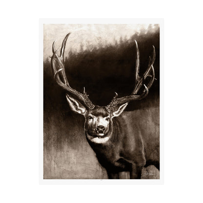 "Muley" Premium Matte Paper Print.