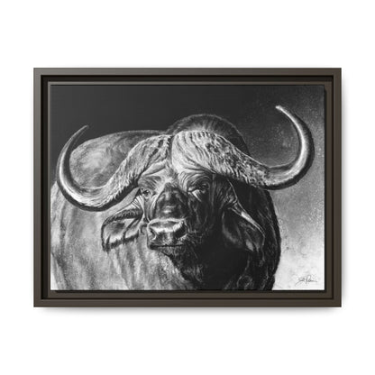 "Cape Buffalo" Framed Canvas