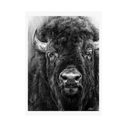 "Tatanka" Premium Matte Paper Print.