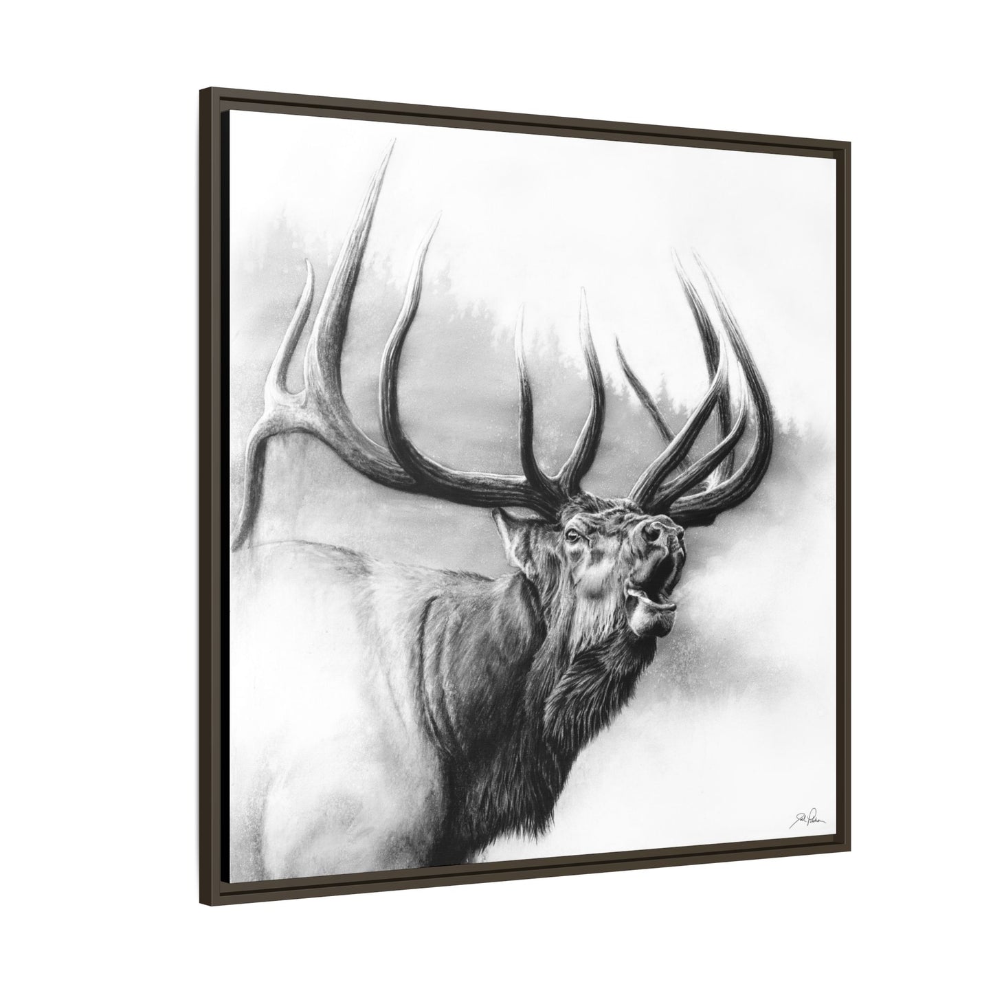 "Rocky Mountain King" Framed Canvas