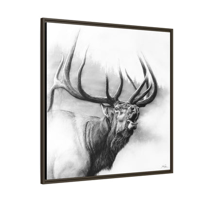 "Rocky Mountain King" Framed Canvas