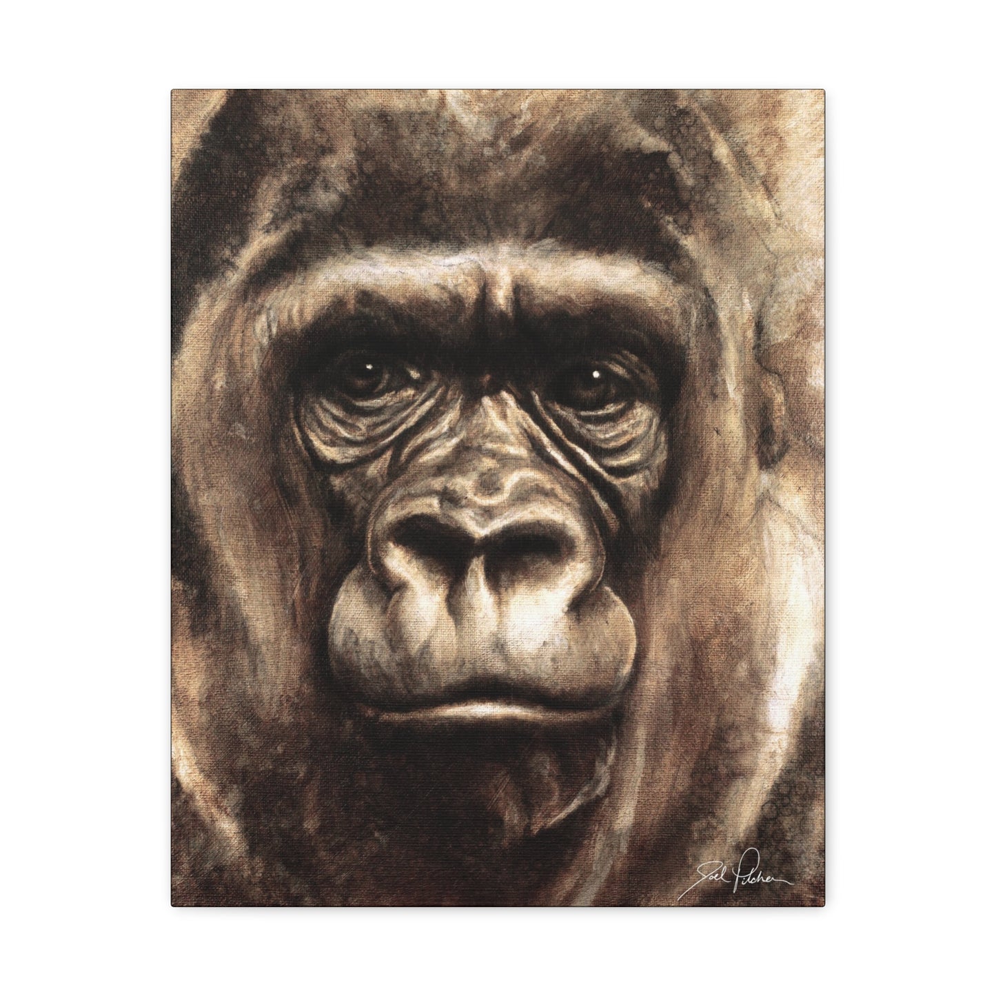 "Gorilla" Gallery Wrapped Canvas