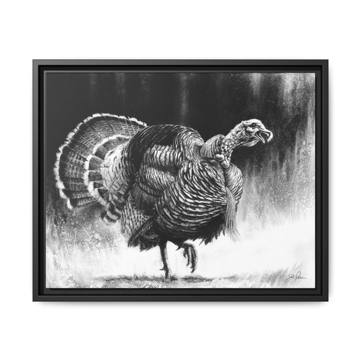 "Gobbler" Framed Canvas