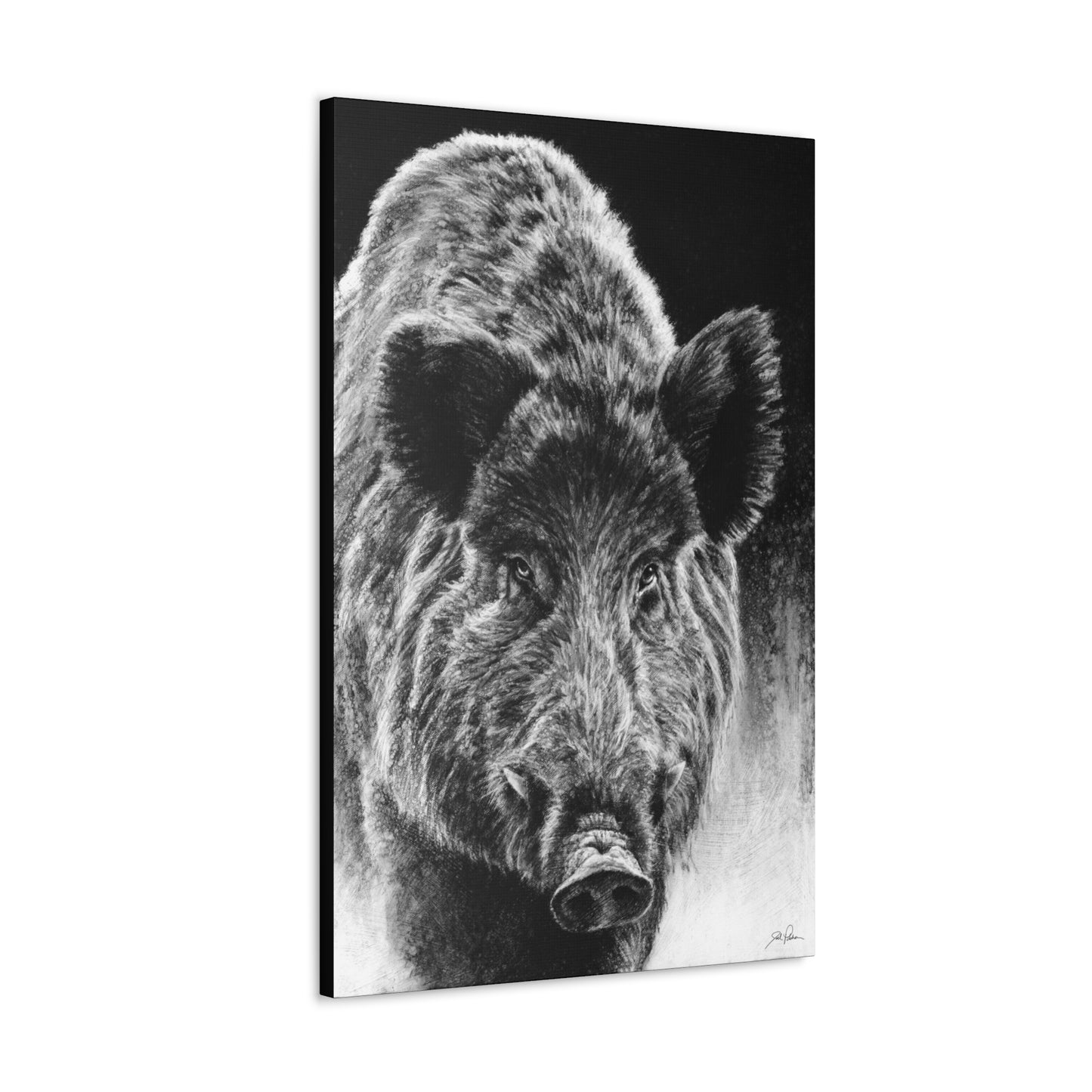 "Wild Boar" Gallery Wrapped Canvas