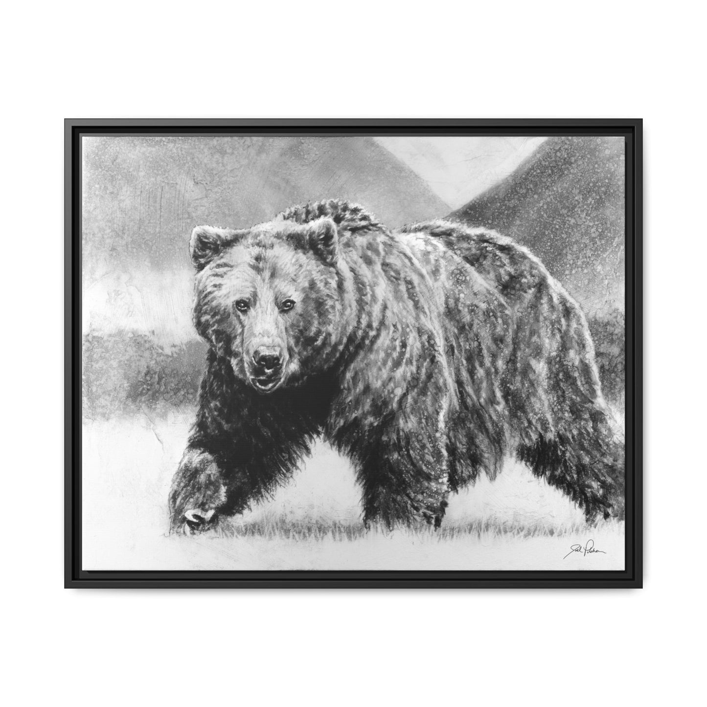 Grizzly II" Framed Canvas