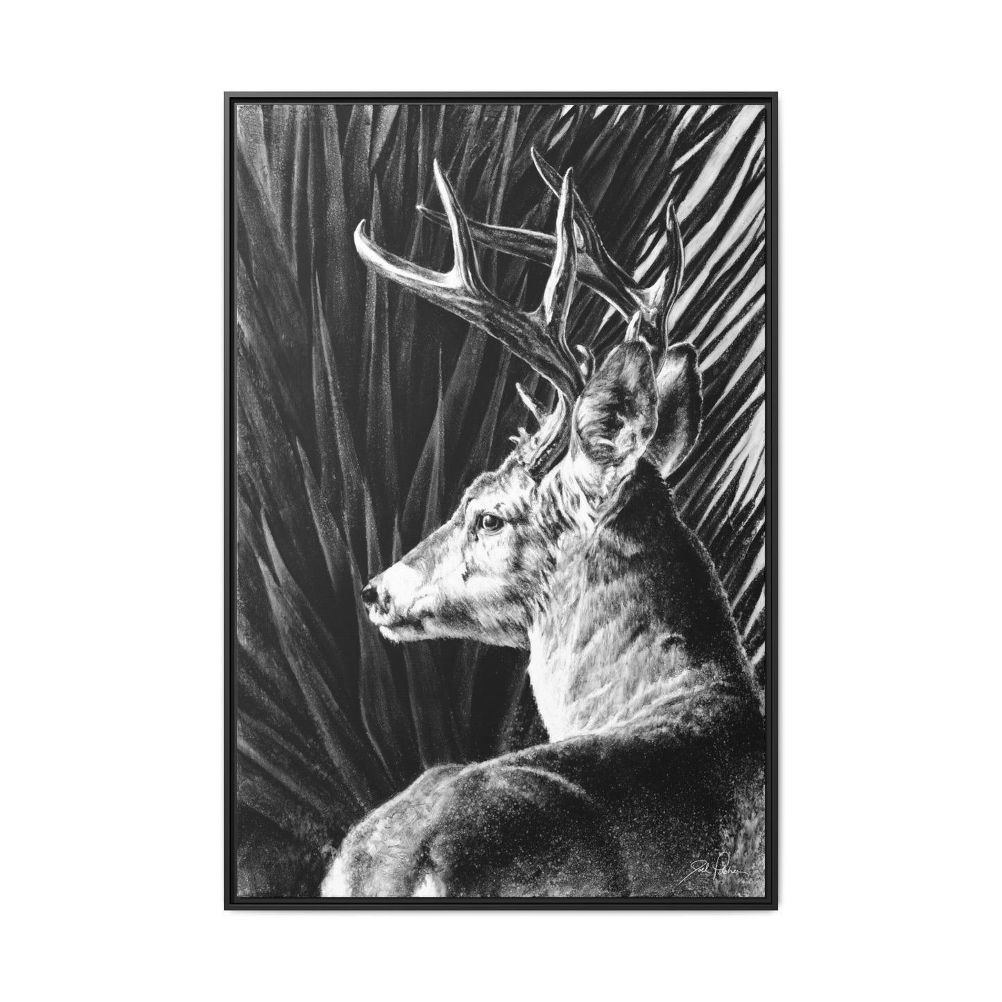 "Coues Buck" Framed Canvas