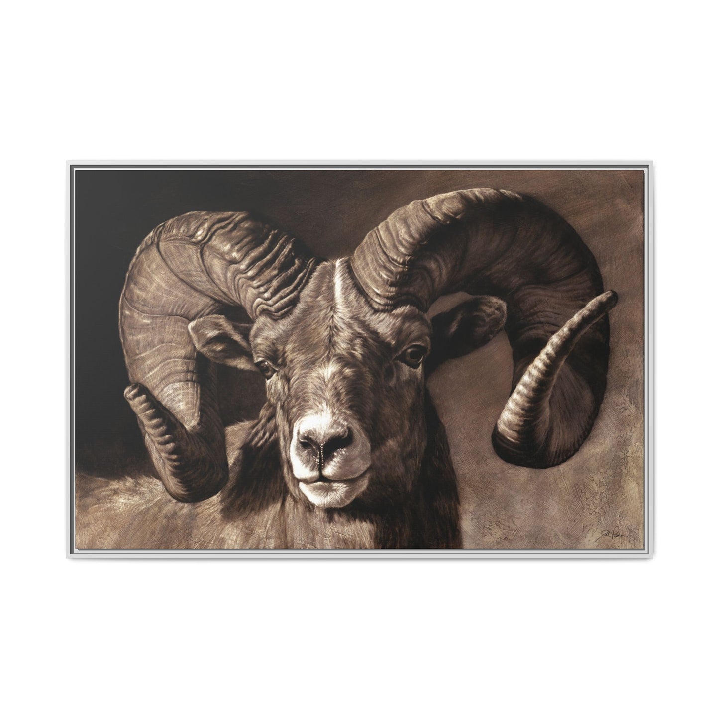 "Full Curl" Framed Canvas