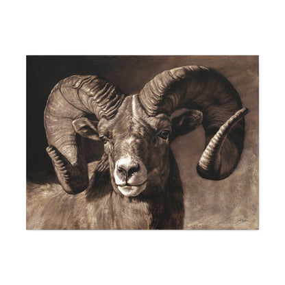 "Full Curl" Stretched Canvas