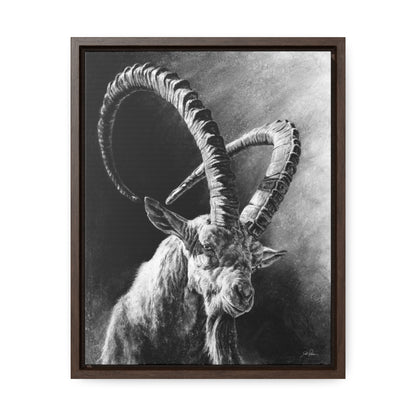 "Ibex" Gallery Wrapped/Framed Canvas