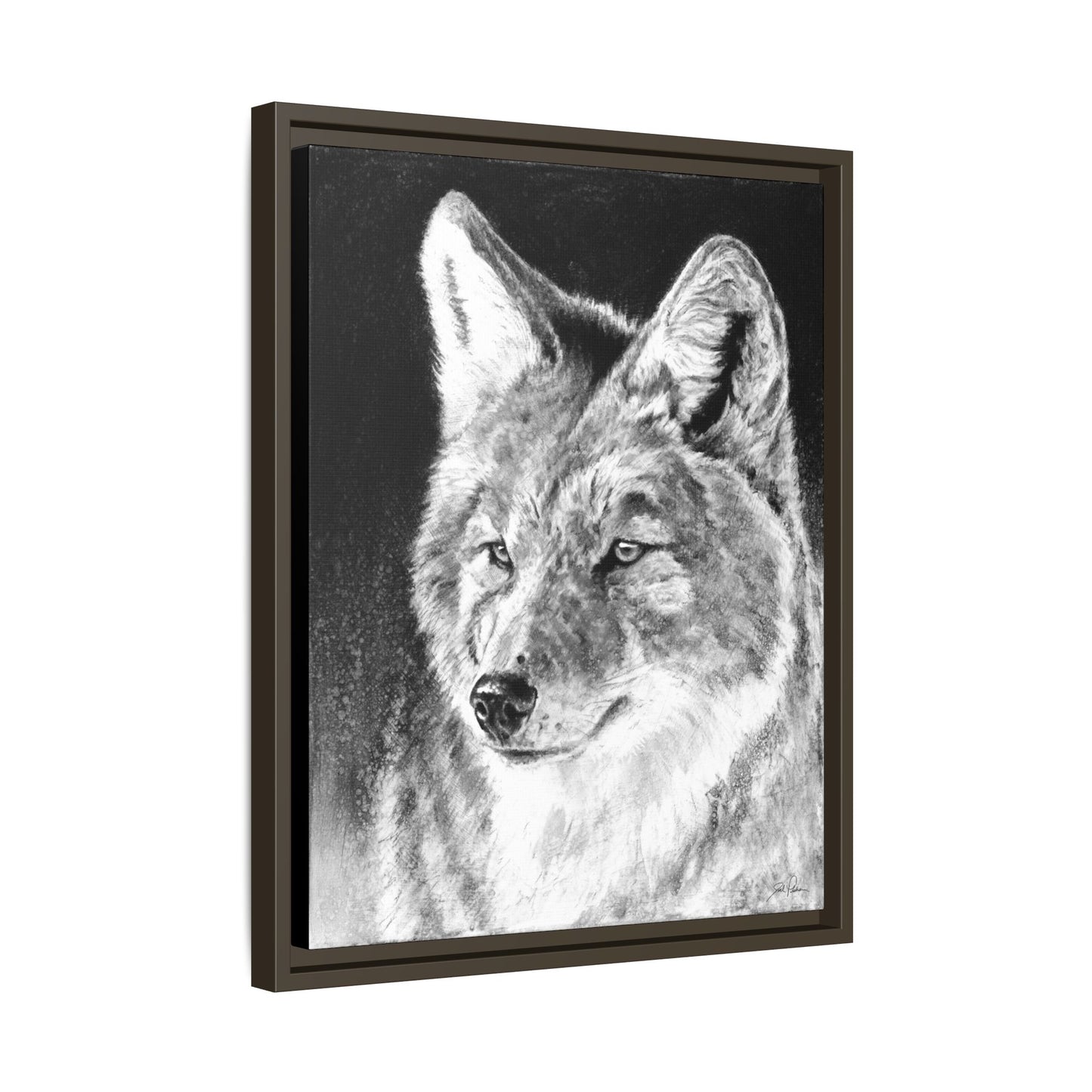 "Coyote II" Framed Canvas