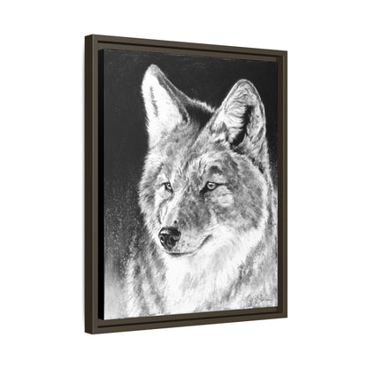 "Coyote II" Framed Canvas