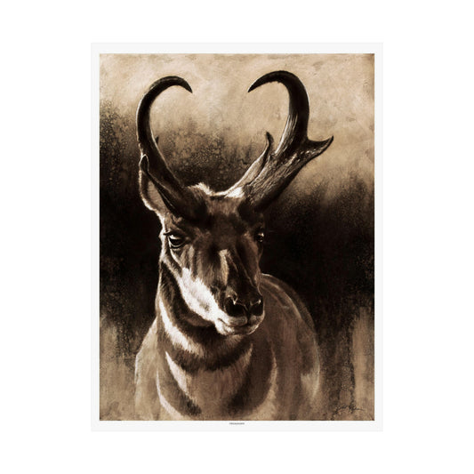 "Pronghorn" Premium Matte Paper Print.