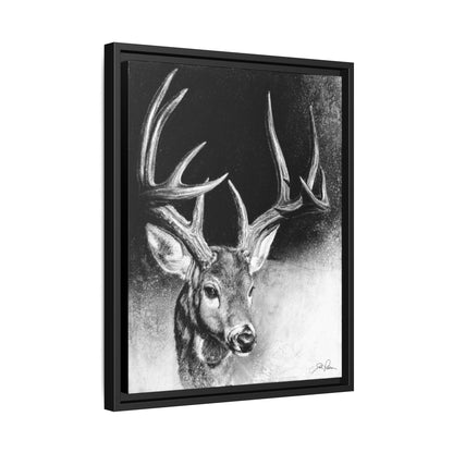 "Whitetail Buck" Framed Canvas