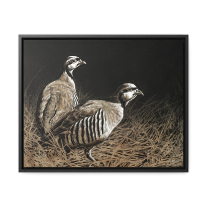 "Chukars" Gallery Wrapped/Framed Canvas