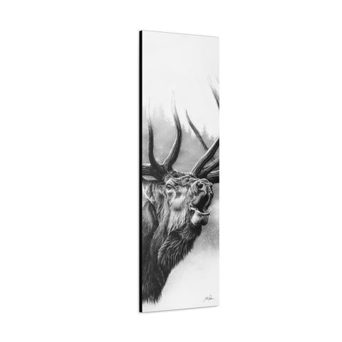 "Rocky Mountain King" 20x60 Gallery Wrapped Canvas