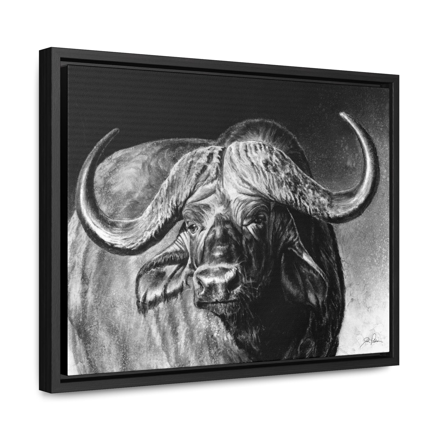 "Cape Buffalo" Gallery Wrapped/Framed Canvas