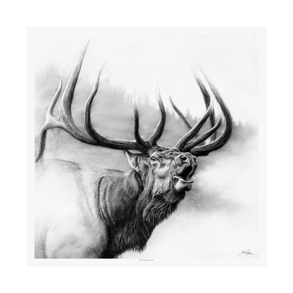 "Rocky Mountain King" Premium Matte Paper Print.