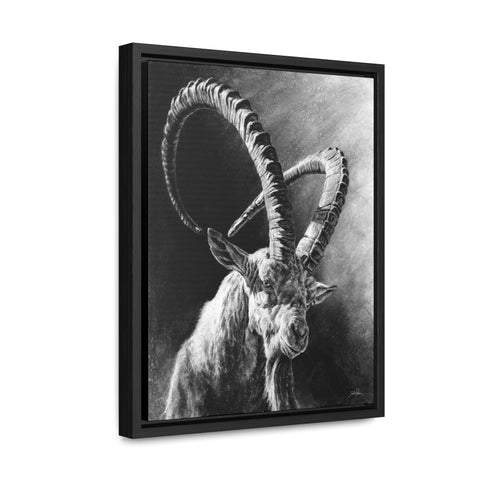 "Ibex" Gallery Wrapped/Framed Canvas