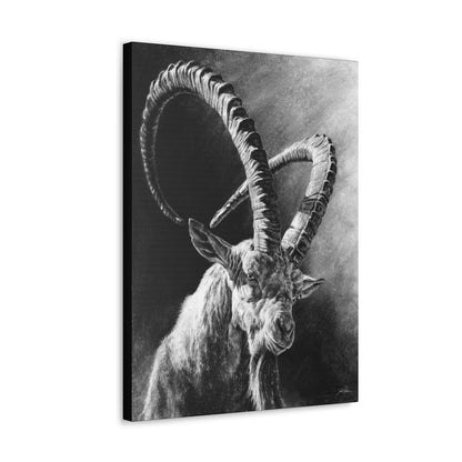 "Ibex" Gallery Wrapped Canvas