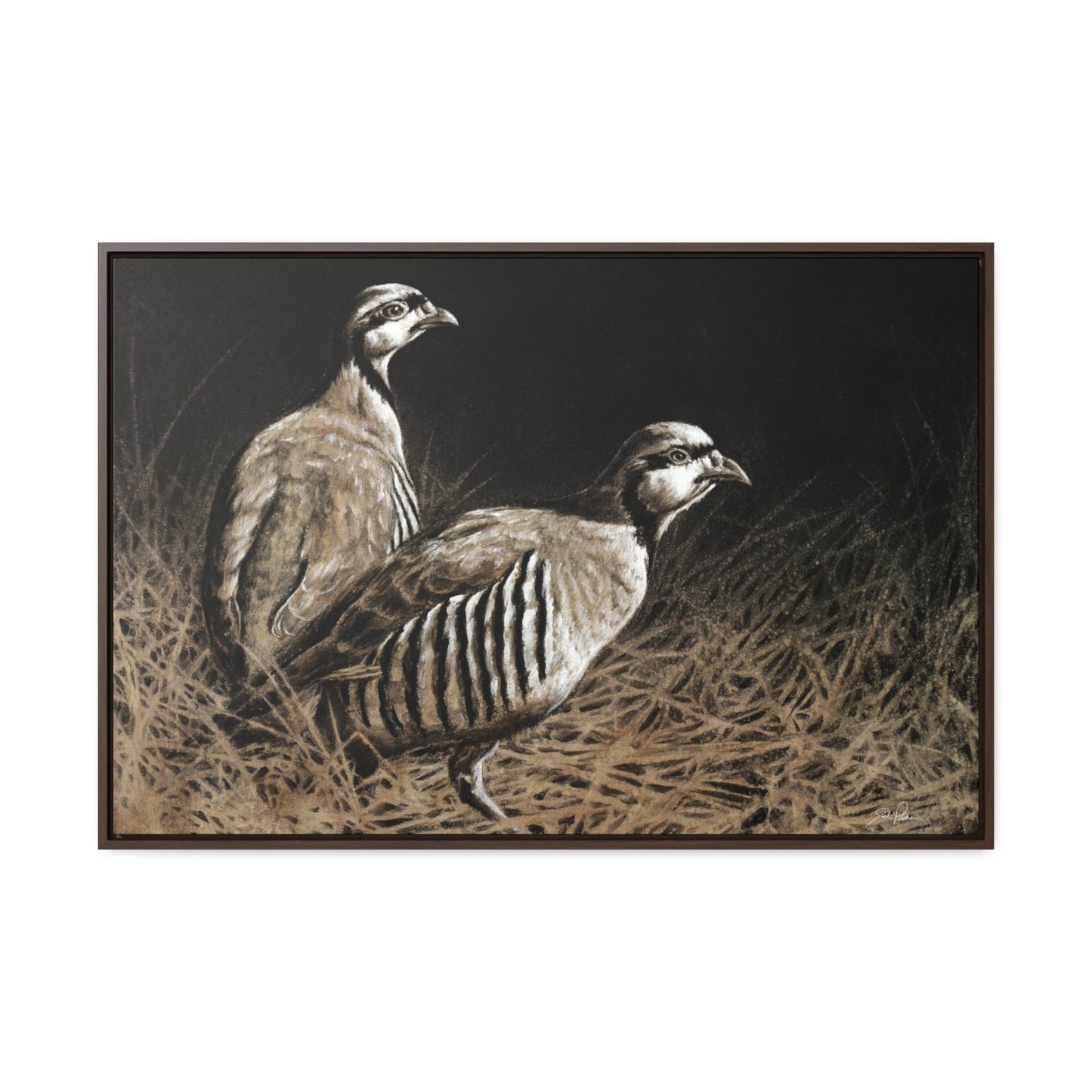 "Chukars" Gallery Wrapped/Framed Canvas