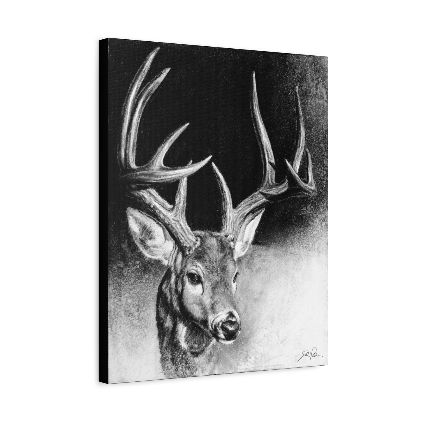 "Whitetail Buck" Stretched Canvas