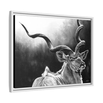 "Kudu" Framed Canvas