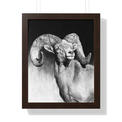 "Bighorn" Framed Paper Print